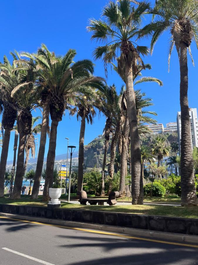 Estudio-Szl Puerto de la Cruz  Esterno foto